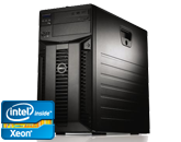 Dell PowerEdge T310 Dell PowerEdge T310